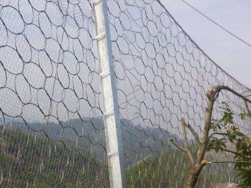 RXI-200環(huán)形被動(dòng)防護(hù)網(wǎng)